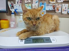 -美联众合动物医院·24h京西诊疗中心