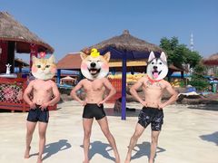 -西安华夏文旅水世界