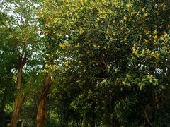 -共青国家森林公园-售票处