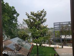 -悦哉·派对·草坪婚礼·围炉煮茶(三圣乡店)