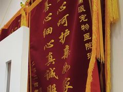 -瑞派康怡24h宠物医院·犬猫医疗中心·微创绝育(瑞景分院)