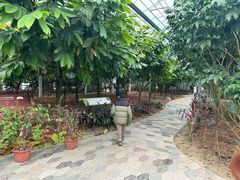 -歌斐颂巧克力小镇