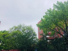 -梯坎豆花