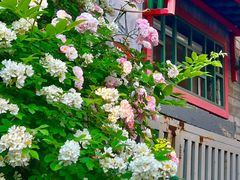 -南京农业大学(浦口校区)