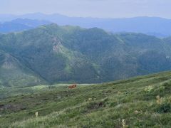 -灵山