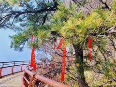-少华山国家森林公园