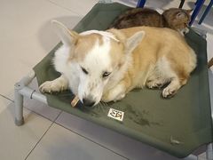 -平行世界·猫咖(首经贸店)