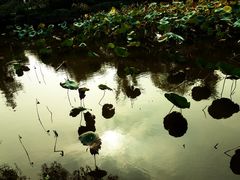 -嘉北郊野公园北游客中心-地上停车场