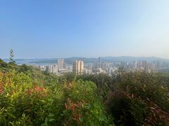 -龙丰药粧(上水新康街66号店)