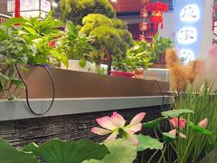 -洞庭家宴·头牌甲鱼(广渠门店)