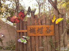 -天目湖山水园