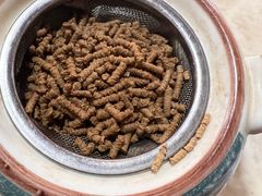 -蘑统田下·野生菌火锅