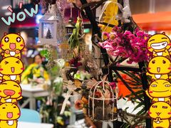 景观位-随心小姐