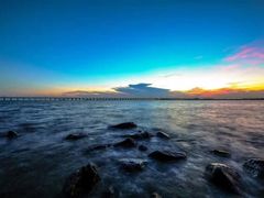 -宝安西湾红树林湿地公园