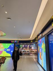 -玩具反斗城(北京芳圆里店)