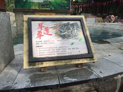 -嘉和K6温泉微度假