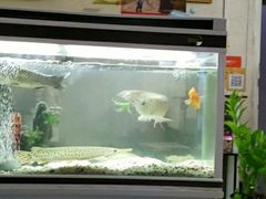 -荣神艺·推拿SPA养生馆(万菱汇店)