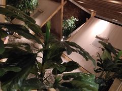 -清水湾足道馆