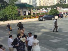 -广州都市观光巴士(粤陶巴)