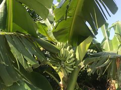 -美人鱼帆船海鲜餐厅(七星湾游艇会店)