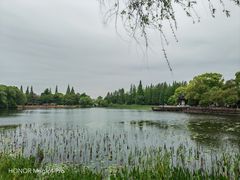 -尚湖风景区