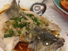 -五谷芳乳鸽王(海景店)