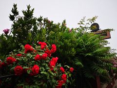 -中山路壹号传奇club·啤酒花园餐厅