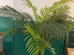 -望湘园·湖南菜(我格广场店)