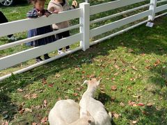 -桃园农庄·桃源宴