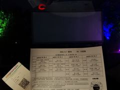 -枫花园汽车电影院(朝阳公园店)