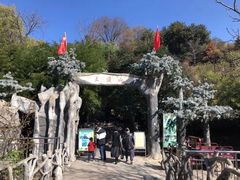 -王顺山国家森林公园