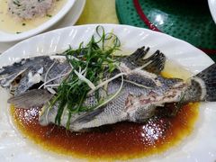 -锐记美食店·现捞海鲜(闸坡店)