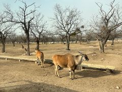 -西安秦岭野生动物园