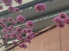 -广东财经大学(广州校区)