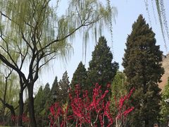 -东华门大街小区