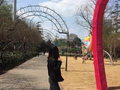 -洛阳市牡丹公园