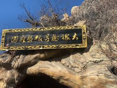 -大槐树寻根祭祖园