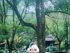 -瑶琳仙境