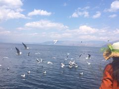 -南诏风情岛