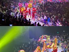 -广州长隆国际大马戏