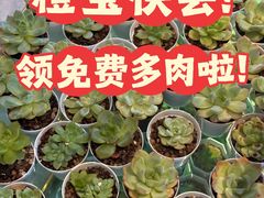 -蝦塘·中国餐馆(城墙南马道巷店)