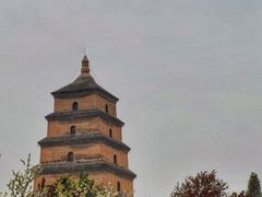 -大雁塔北广场音乐喷泉