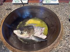 -好灶头妈妈菜·柴火灶台鱼·千岛湖土菜地标美食