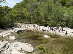 -青峰峡国家森林公园