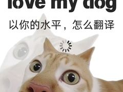 -新东方国际教育·雅思托福(海淀水清木华校区)