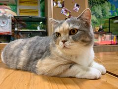 -藦茜花园宠物主题亲子互动体验馆(国顺东路店)