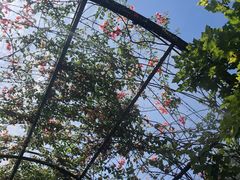 -The Grounds of Alexandria