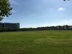 -小义乌砂锅拉面(海事共享区店)