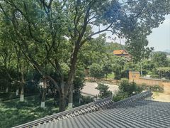 -小洞天柴火土菜馆