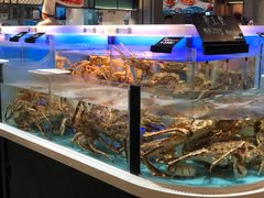 -同庆楼(滨湖万达广场店)